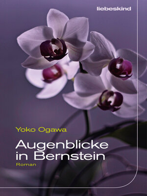cover image of Augenblicke in Bernstein
